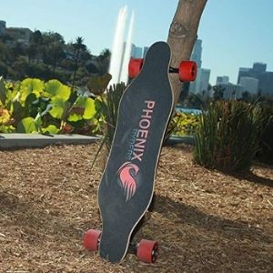 Alouette Phoenix Ryders Electric Skateboard under 500